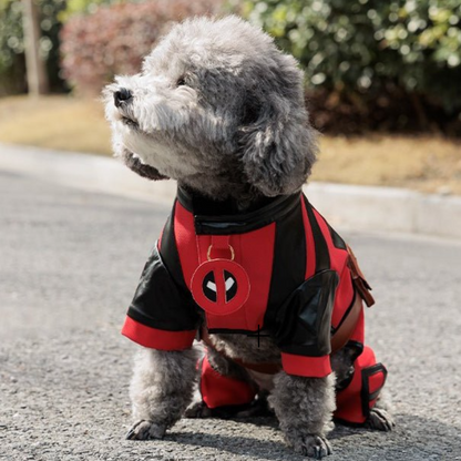 Marvel dog clothes best sale